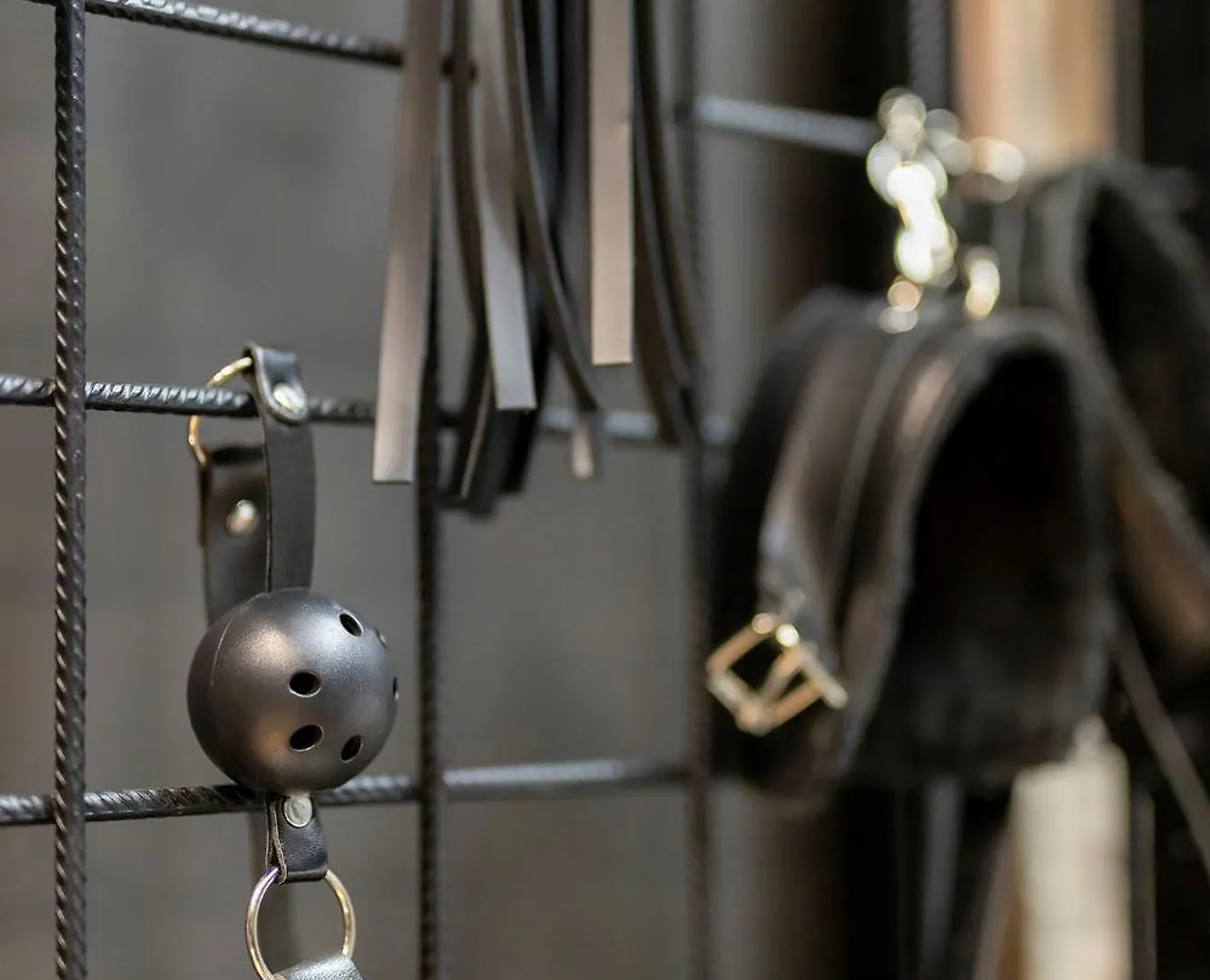Secret Love Bdsm Posen 0*,  Polen